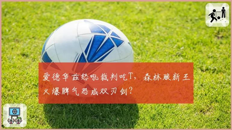 爱德华兹怒吼裁判吃T，森林狼新王火爆脾气恐成双刃剑？